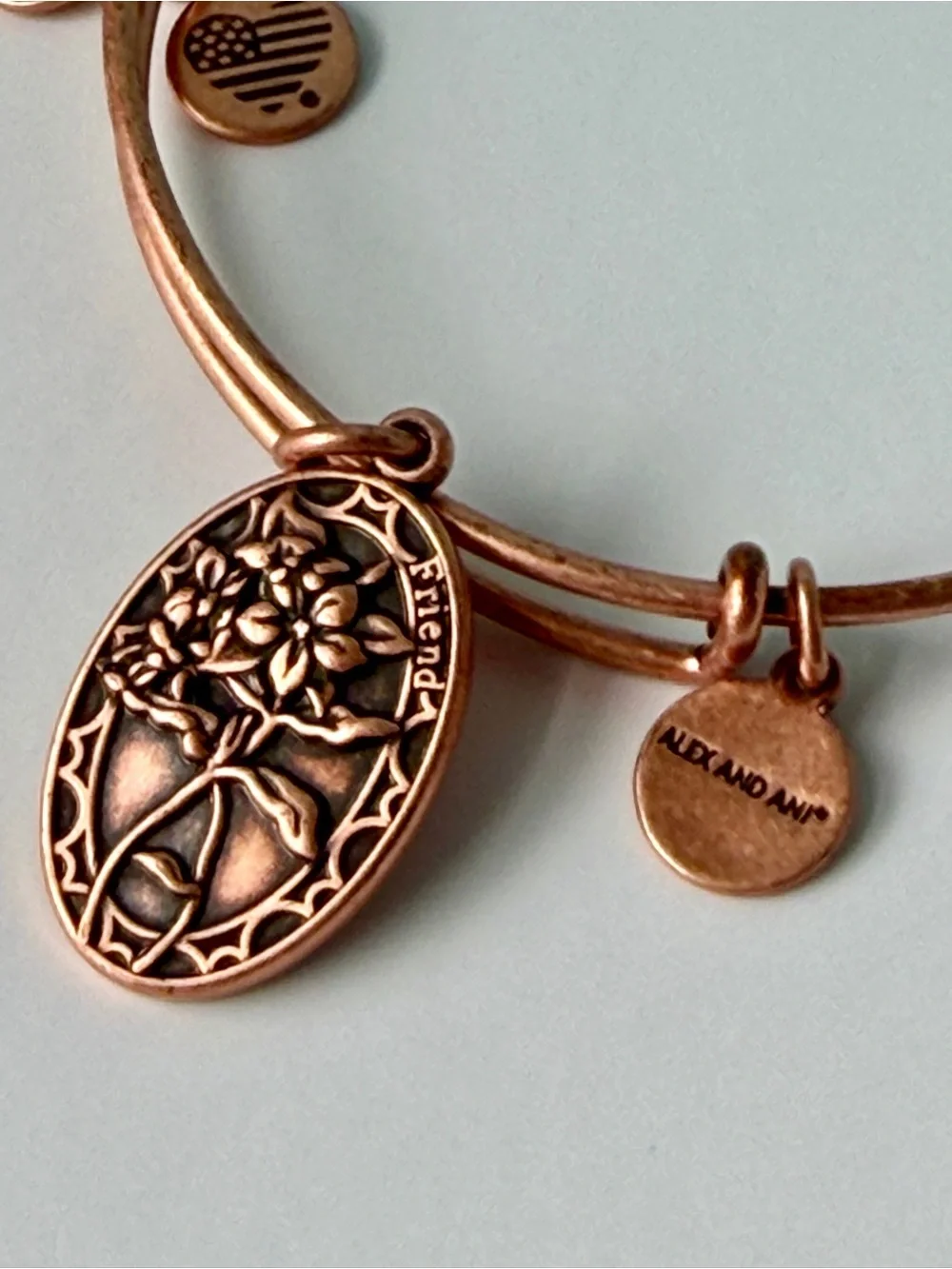 Alex and Ani Copper Tree of Life 'Friend' Bangle